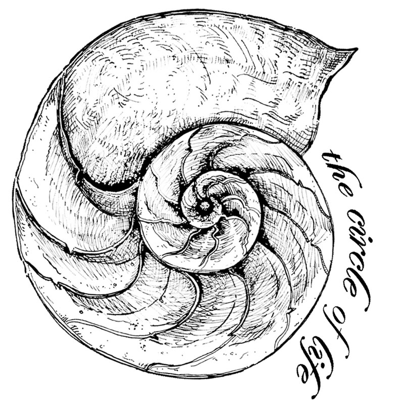 #2455 - Circle of Life - Ocean